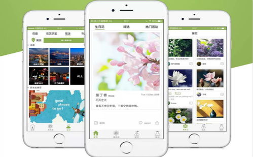 山西花卉种植App开发与成品系统——郑州专业软件解决方案
